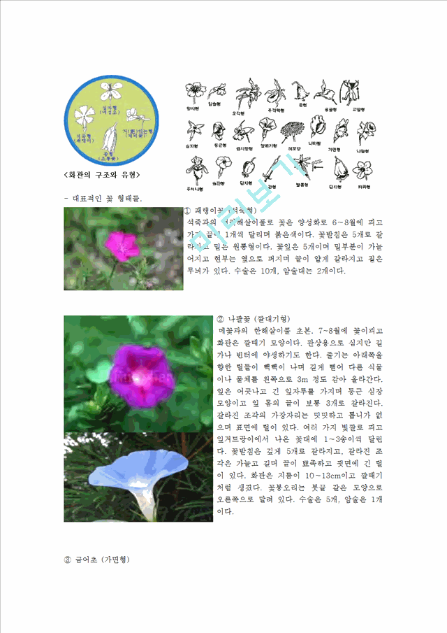 관상식물의 꽃구조 생활과원예   (5 페이지)